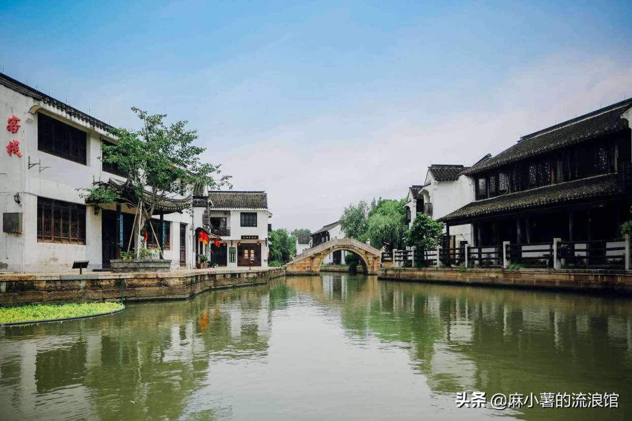 敏捷的白球